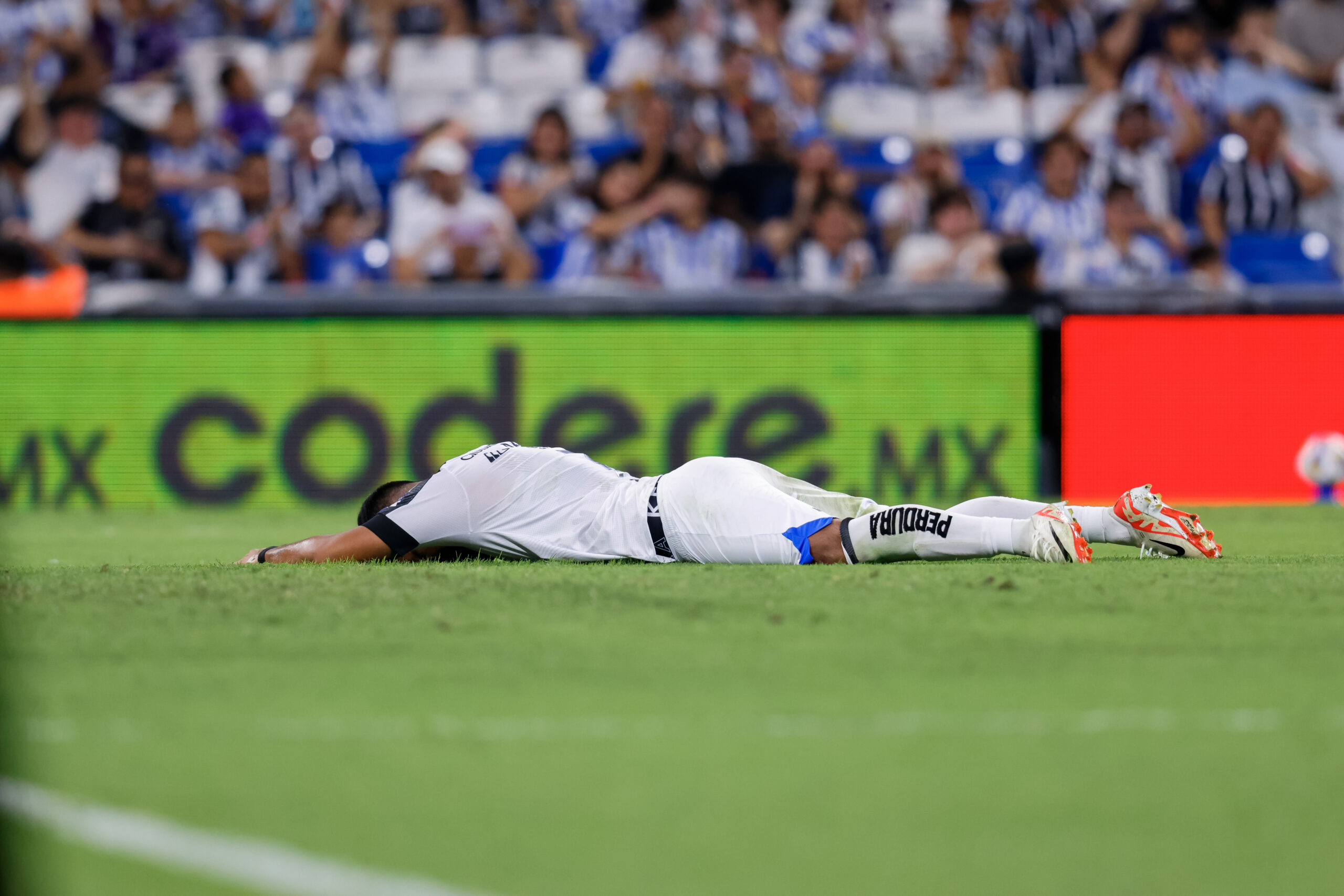 Rayados derrotó a Querétaro. Gallos sigue sin sumar en el Apertura 2024.